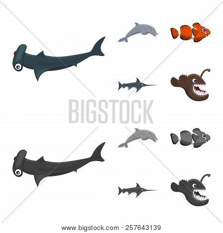 Vector Illustration Of Sea And Animal Logo. Collection Of Sea And Marine Stock Vector Illustration.
