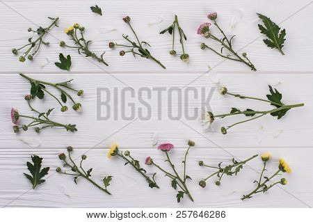 Many Unripe Flowers On White Wood. Flat Lay, Top View.