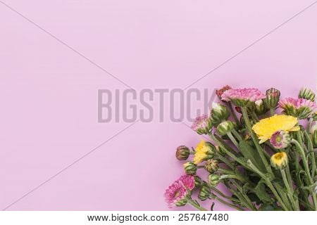 Bouquet Of Unripe Flowers On Pink Background. Copyspace, Free Space For Text.