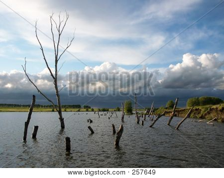 Alte Teich