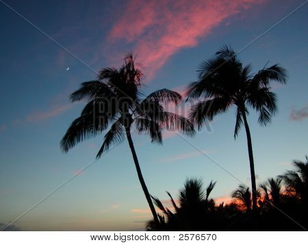Sunset/månen stige