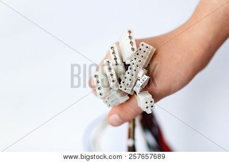 Hand Holds Power Cables From Power Supply Unit On White Background, Pc Motherboard Power Cables And 