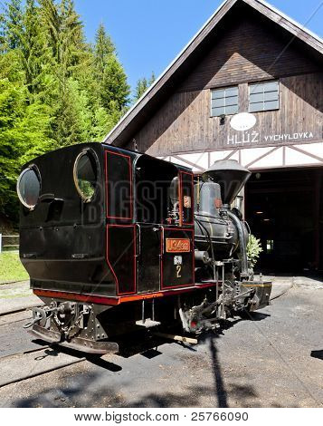 vapor de la locomotora, Museo de Kysuce village, Vychylovka, Eslovaquia
