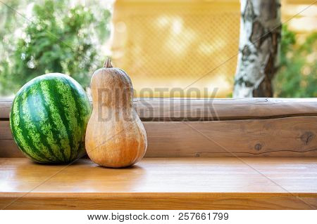 Ripe Orange Pumpkin And Green Striped Watermelon On Wooden Table Outdoors. Agriculural Harvest Seaso