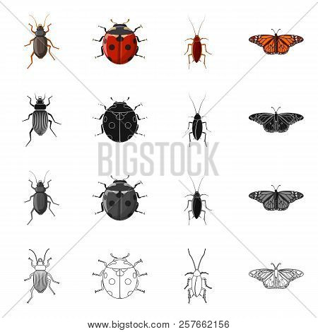 Vector Design Of Insect And Fly Logo. Set Of Insect And Element Stock Symbol For Web.