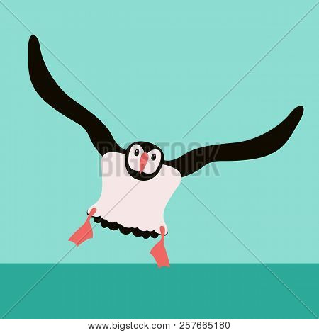 Puffin Bird  Vector Illustration Flat Style  Front  Side