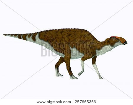 Brachylophosaurus Dinosaur Side Profile 3d Illustration - Brachylophosaurus Was A Herbivorous Hadros