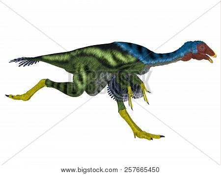Caudipteryx Dinosaur Running 3d Illustration - Caudipteryx Was An Oviraptor Beaked Carnivorous Dinos