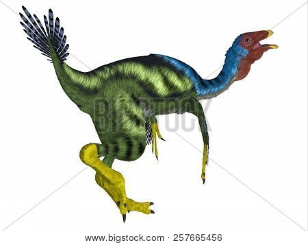 Caudipteryx Dinosaur Tail 3d Illustration - Caudipteryx Was An Oviraptor Beaked Carnivorous Dinosaur