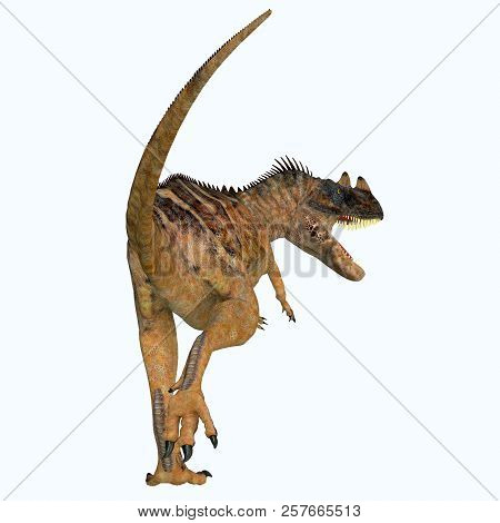 Ceratosaurus Dinosaur Tail 3d Illustration - Ceratosaurus Was A Theropod Carnivorous Dinosaur That L