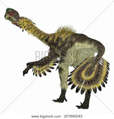 Citipati Dinosaur Tail 3d Illustration - Citipati Was A Carnivorous Velociraptor Dinosaur That Lived