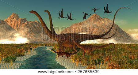 Diplodocus Dinosaur Afternoon 3d Illustration - A Herd Of Diplodocus Dinosaurs Bring Their Youngster