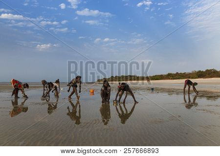 Orango Island, Guinea-bissau - February 2, 2018:  Group Of Children Collecting Cockles And Playing A