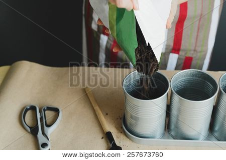 Worker Pours Soil Into Flower Pot, Stock Photo Image