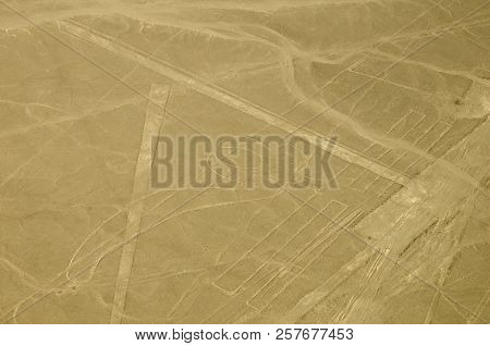 The Parrot - Nasca Lines - Peru