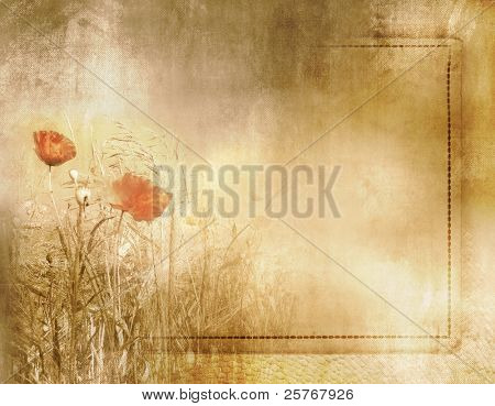Sfondo campo vintage papavero su texture di carta vecchio con telaio - disegno floreale grunge artistico