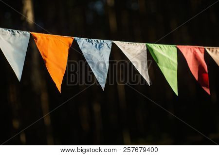 Carnival Garland with Flags, Decorative Party Pennants for Birthday Celebration, Festival and Fair Decoration, Hanging Flags, Bunting Flags ,Triangle Fabrics Hanging on the Rope, Bunting Background 