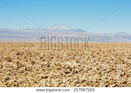 Chaxa Lagoon - Atacama Region - Chile
