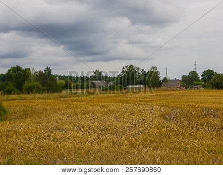 Two Twisted Hay Rolls On A Cart In The Field