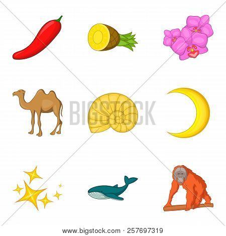 Primordial Nature Icons Set. Cartoon Set Of 9 Primordial Nature Icons For Web Isolated On White Back