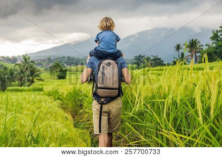 Dad And Son Travelers On Beautiful Jatiluwih Rice Terraces Against The Background Of Famous Volcanoe