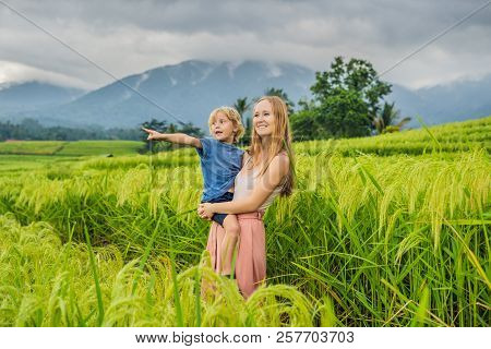 Mom And Son Travelers On Beautiful Jatiluwih Rice Terraces Against The Background Of Famous Volcanoe