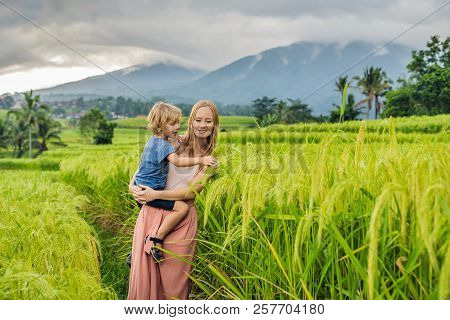 Mom And Son Travelers On Beautiful Jatiluwih Rice Terraces Against The Background Of Famous Volcanoe