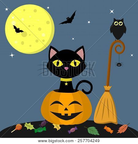 Happy Halloween. A Black Cat Is Sitting In A Pumpkin. Near The Broom, Owl, Spider. Full Moon At Nigh