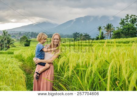 Mom And Son Travelers On Beautiful Jatiluwih Rice Terraces Against The Background Of Famous Volcanoe