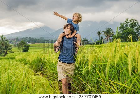 Dad And Son Travelers On Beautiful Jatiluwih Rice Terraces Against The Background Of Famous Volcanoe