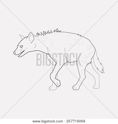 Hyena Icon Line Element.  Illustration Of Hyena Icon Line Isolated On Clean Background For Your Web 
