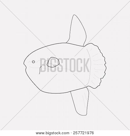 Blowfish Icon Line Element.  Illustration Of Blowfish Icon Line Isolated On Clean Background For You