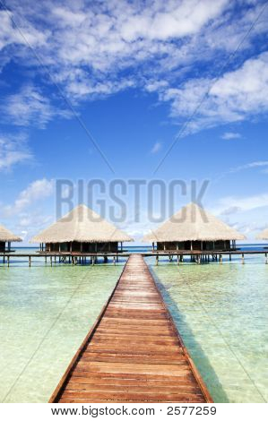 Tropical Beach