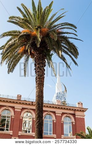 August 21, 2018 Adjara, Georgia.batumi Is A Developing Resort.view On The Palm And Le Meridien Hotel