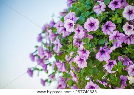 Elegant Flower Decoration On The Table In Restaurant For An Event Party Or Wedding Wedding Table