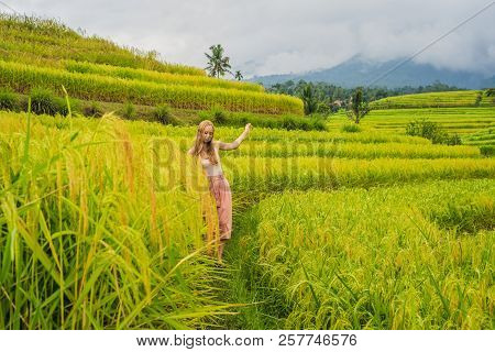 Young Woman Traveler On Beautiful Jatiluwih Rice Terraces Against The Background Of Famous Volcanoes