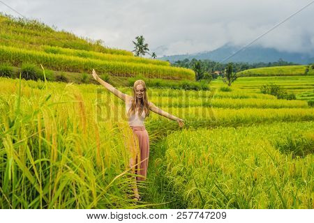 Young Woman Traveler On Beautiful Jatiluwih Rice Terraces Against The Background Of Famous Volcanoes