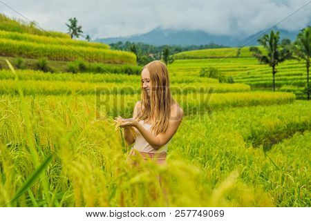 Young Woman Traveler On Beautiful Jatiluwih Rice Terraces Against The Background Of Famous Volcanoes