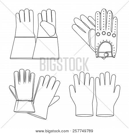 Vector Illustration Of Glove And Winter Symbol. Collection Of Glove And Equipment Stock Symbol For W