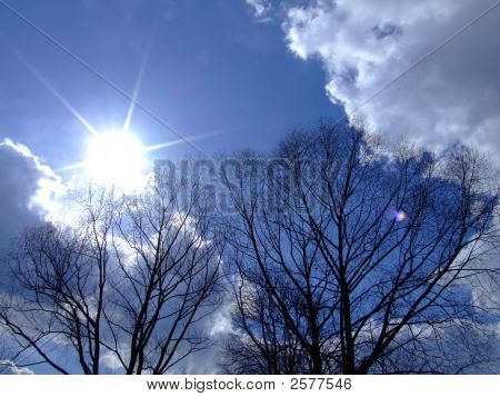 Kold Sky af foråret
