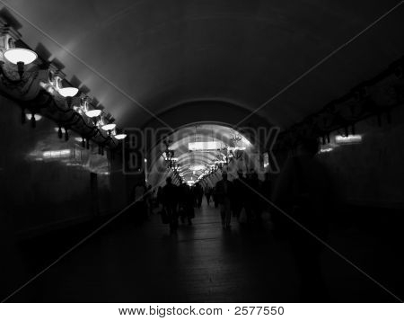 Underjordisk liv