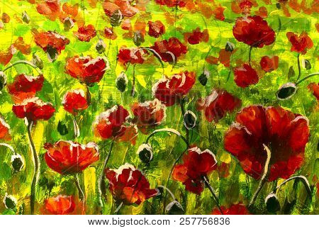 Meadow with beautiful bright red poppy flowers in spring original painting modern nature landscape i