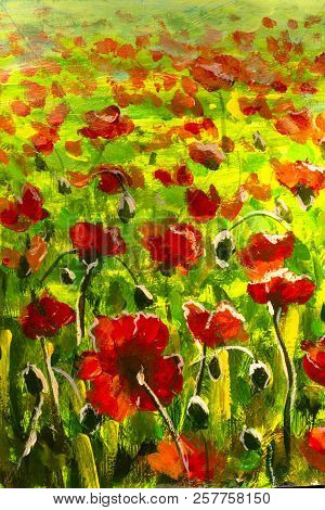 Meadow With Beautiful Bright Red Poppy Flowers In Spring Original Painting Modern Nature Landscape I