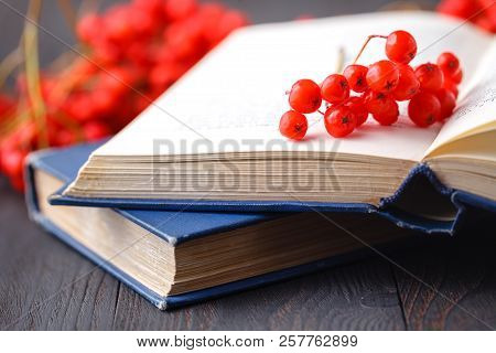 Seasonal Berries On Books As Simbol Of Begin Of New Educationaal Season