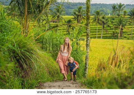 Mom And Son Travelers On Beautiful Jatiluwih Rice Terraces Against The Background Of Famous Volcanoe