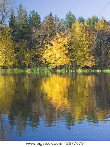 Milwaukee River Color