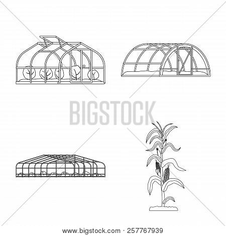 Vector Design Of Greenhous And Plant Logo. Collection Of Greenhous And Garden Vector Icon For Stock.