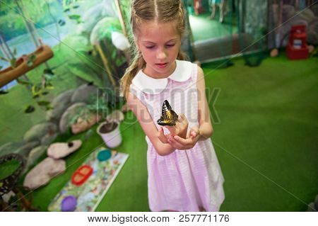 Handsome Small Girl Holding Butterfly In Hands In Insectarium