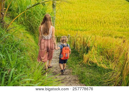 Mom And Son Travelers On Beautiful Jatiluwih Rice Terraces Against The Background Of Famous Volcanoe