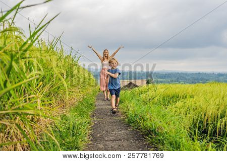 Mom And Son Travelers On Beautiful Jatiluwih Rice Terraces Against The Background Of Famous Volcanoe